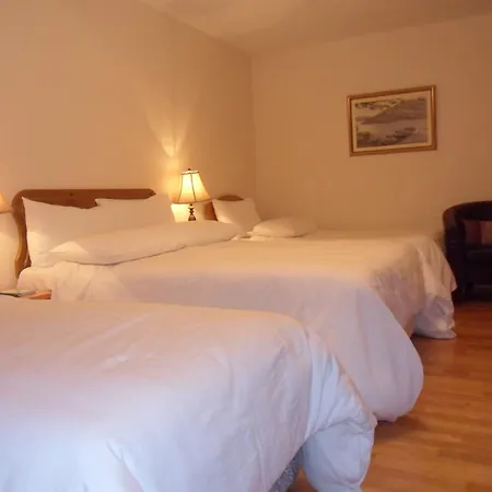 Nocleg ze śniadaniem Forest Park House