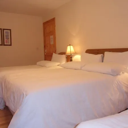 Bed & Breakfast Forest Park House Boyle
