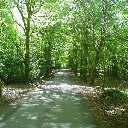 Forest Park House Nocleg ze śniadaniem