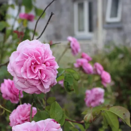 B&B Forest Park House 보일