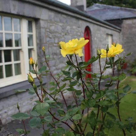 Nocleg ze śniadaniem Forest Park House Boyle