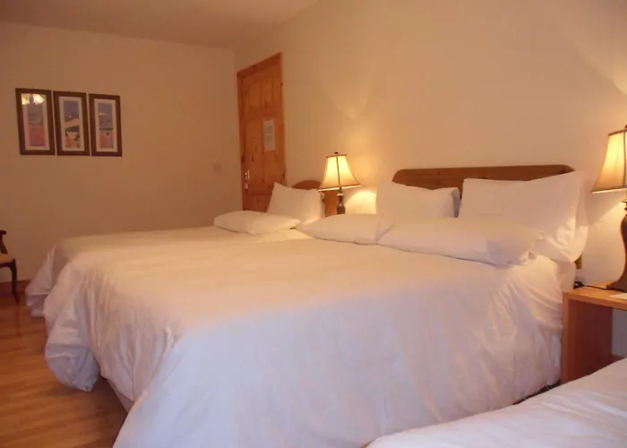 Bed & Breakfast Forest Park House Boyle