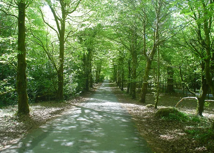 Forest Park House 住宿加早餐酒店