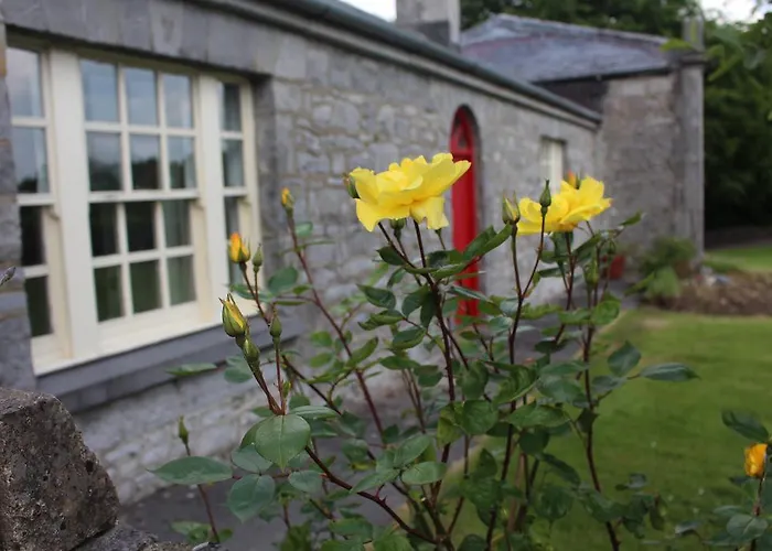 住宿加早餐酒店 Forest Park House 波伊尔