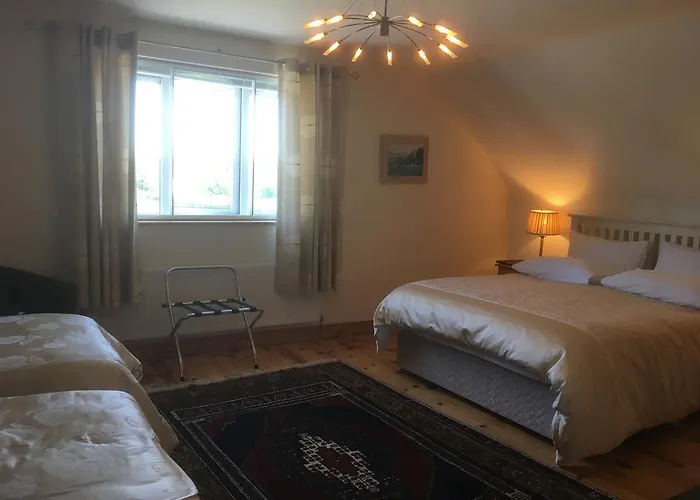 Bed & Breakfast Forest Park House Boyle